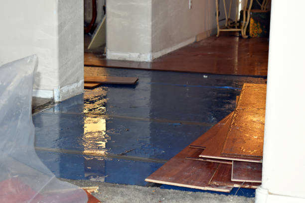 Professional Basement Flood Cleanup technician working in Vandiver, AL